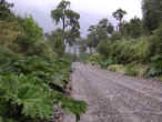 06_Carretera_Austral.jpg (43511 byte)