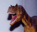 newtestaallo.jpg (10175 byte)