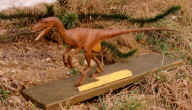 velocir.jpg (33564 byte)