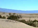 sanddunes2.jpg (46883 byte)