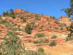 zion2.jpg (83950 byte)