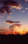alba480.jpg (21111 byte)