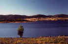 jindabine480.jpg (25870 byte)