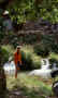 IV8.jpg (83068 byte)