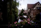 a5_520.jpg (48020 byte)