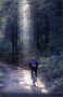 100km6altopluserna520.jpg (58280 byte)