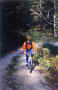 100km8malgacroiere520.jpg (63916 byte)