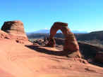 delicatearch1.jpg (43994 byte)