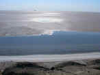chotteljerid.jpg (41593 byte)
