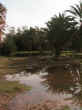 oasighilane.jpg (58825 byte)